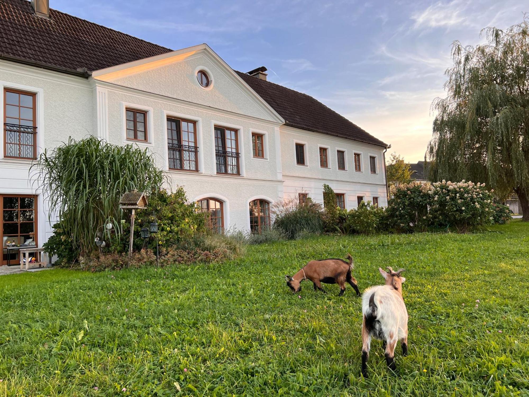 Landhaus Aigner Allhartsberg Екстериор снимка